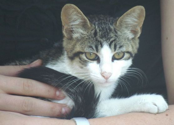 "Die Kleine" (reload)