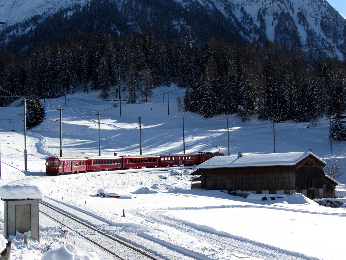  die kleine Rote im Schnee Bergün