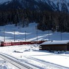  die kleine Rote im Schnee Bergün