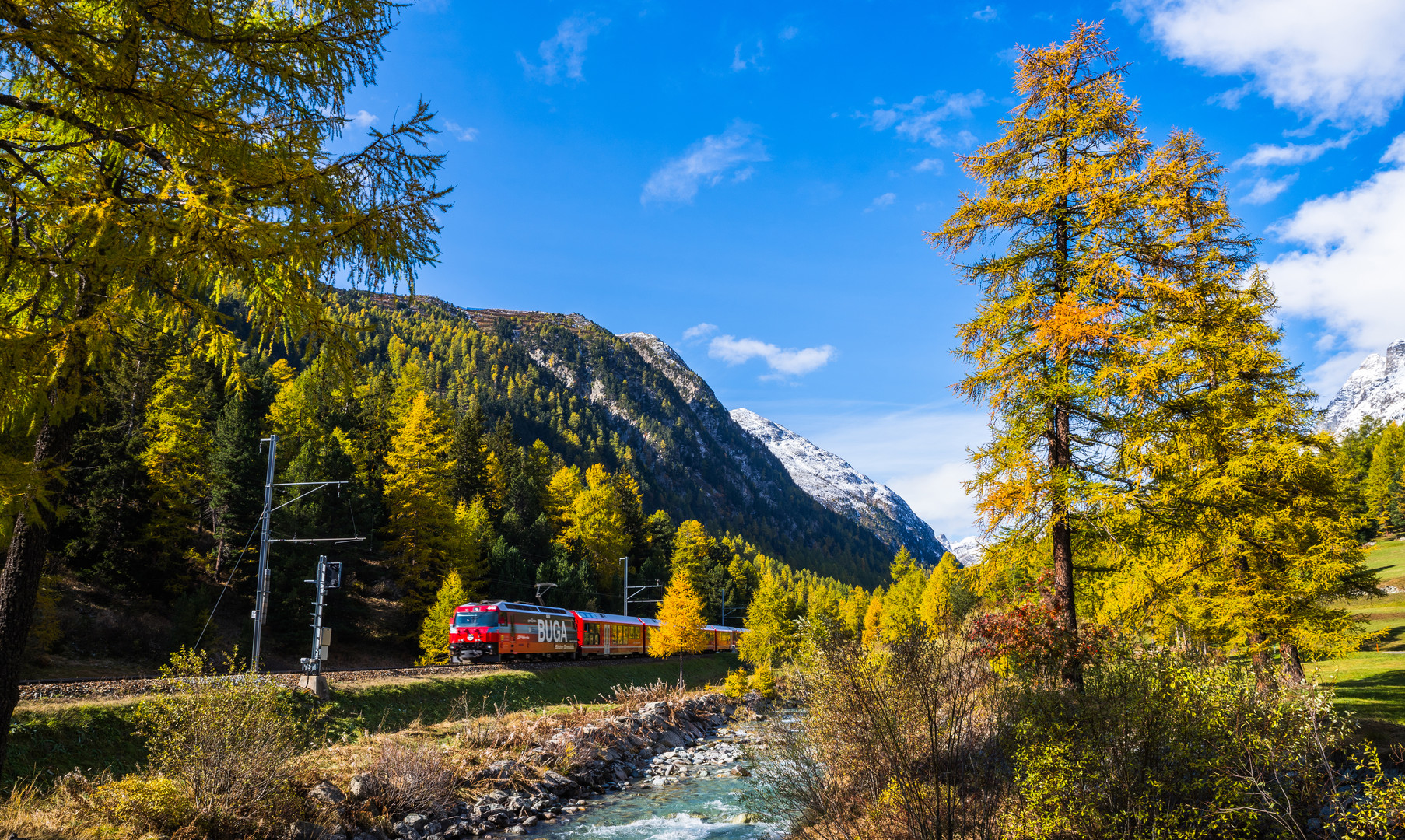 Die kleine Rote im Tal des Lärchengoldes