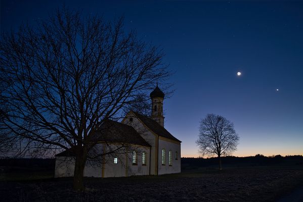 Die kleine Schönheit 025_1671