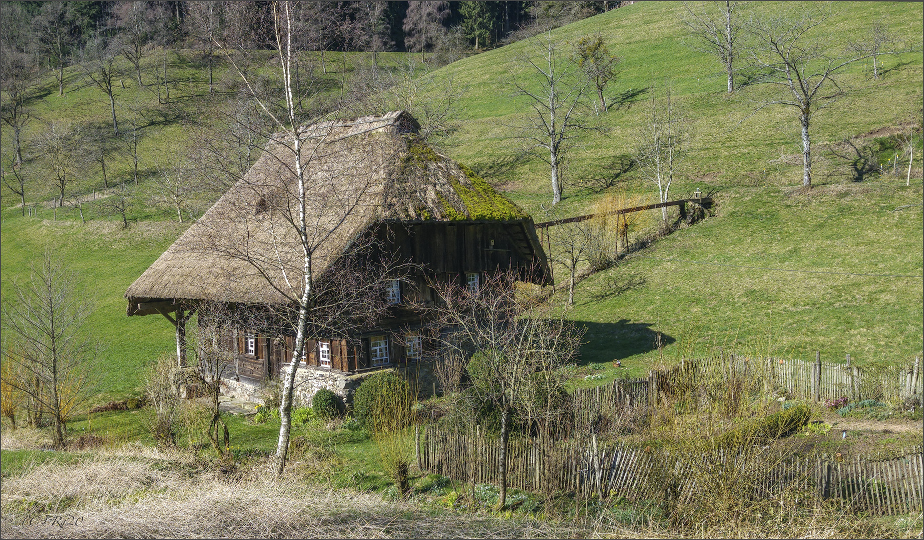 die kleine schwarzwaldmühle