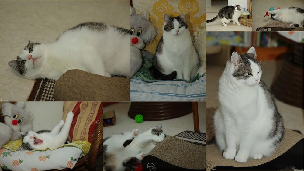 Die kleine Sookie ...