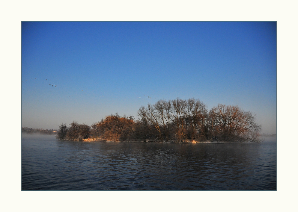 Die kleine Vogelinsel !