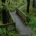 Die kleine Waldwegbrücke