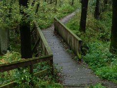 Die kleine Waldwegbrücke