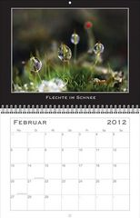 Die kleine Welt - Wandkalender 2012 ist da!