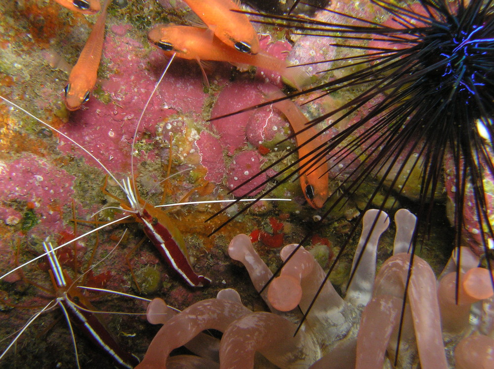 Die kleineHöhle