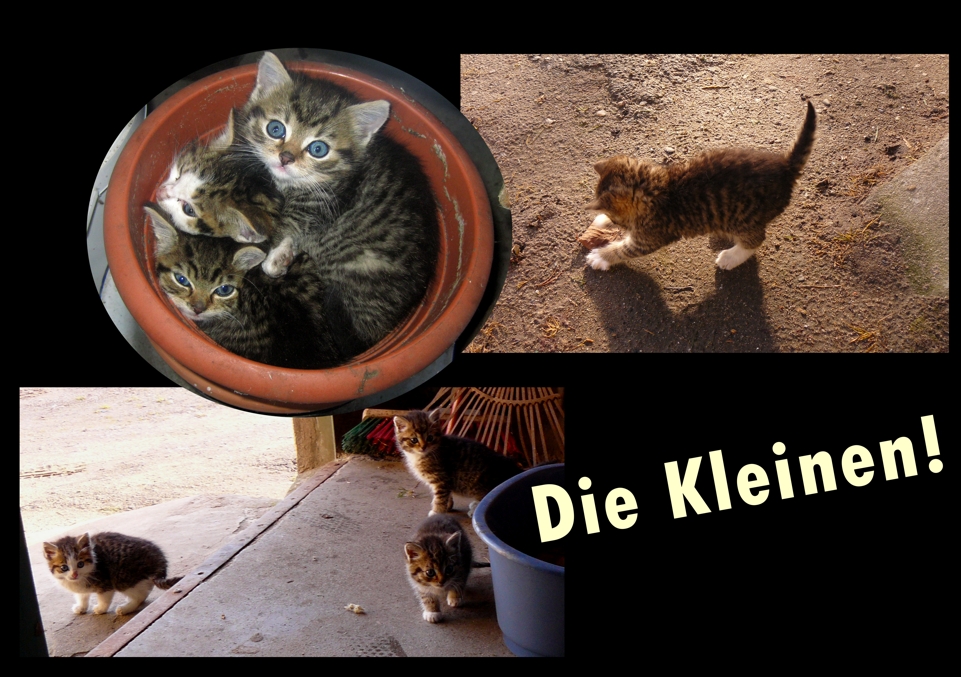 Die Kleinen!