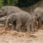 Die kleinen drei Leipzig Berliner im Sandkasten