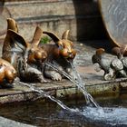 Die kleinen pausbäckigen Wasserspeier