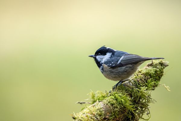 Die Kleinste unter den Kleinen