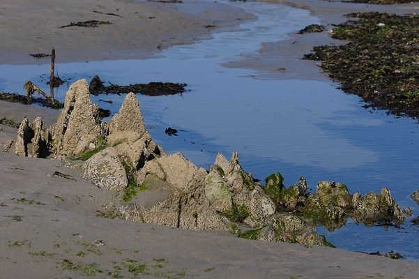 Die Klippen werden auch immer kleiner...