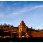 Die Kloster Anlage Maulbronn