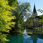 Die Klosterkirche im Spiegel des Blautopfes (s. Thumb)