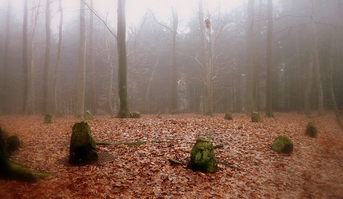 Die Kobolde waren da