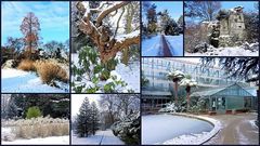 Die Kölner Flora im Winter