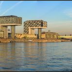 Die Kölner Skyline im morgendlichen Sonnenlicht