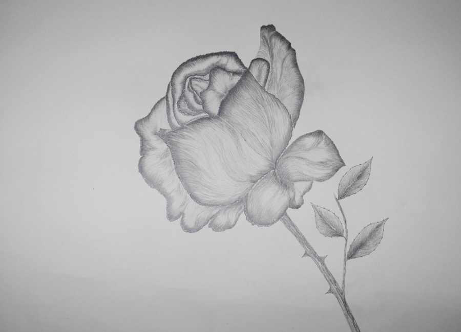 Die Konigin Der Blumen Foto Bild Kunstfotografie Kultur Gemalde Skulpturen Gemalde Und Zeichnungen Bilder Auf Fotocommunity