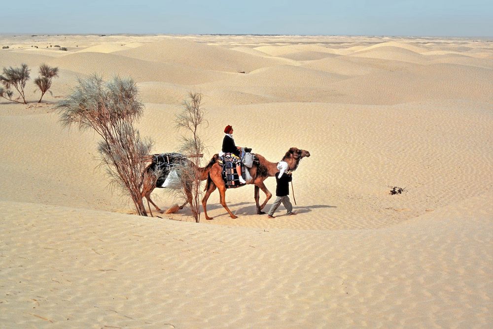 die Königin von Saba ? Foto & Bild world, sand, natur Bilder auf