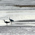 die könnten langsam wieder Wasser einlassen, meinst du nicht auch