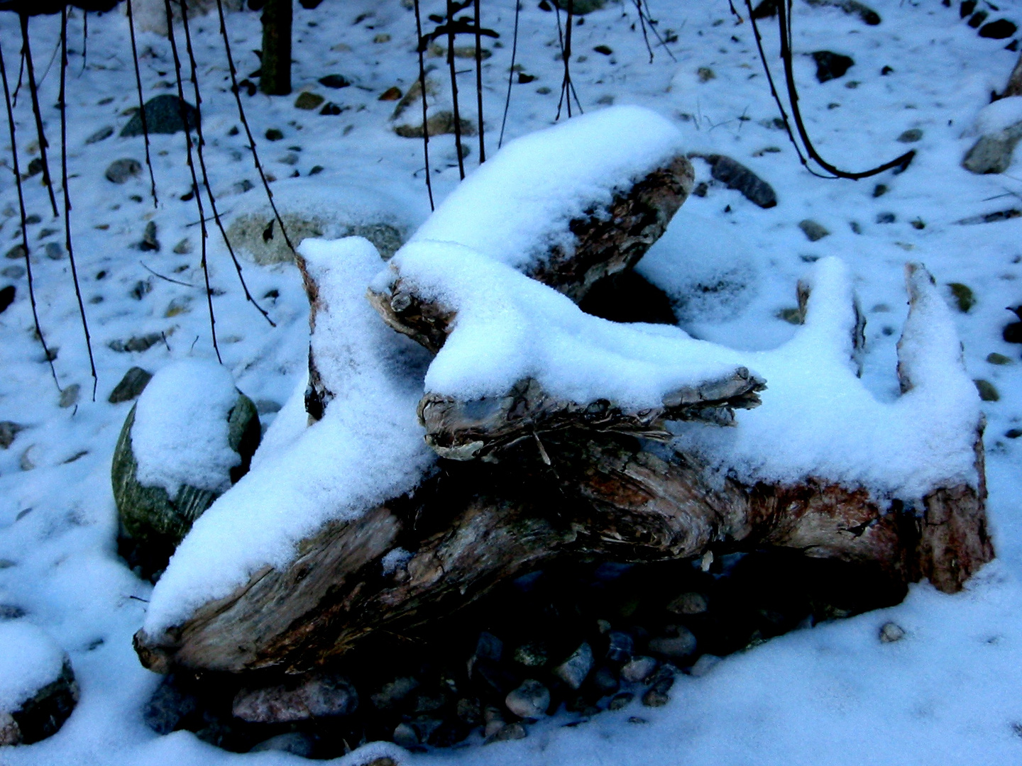 DIe Kräfte der Natur