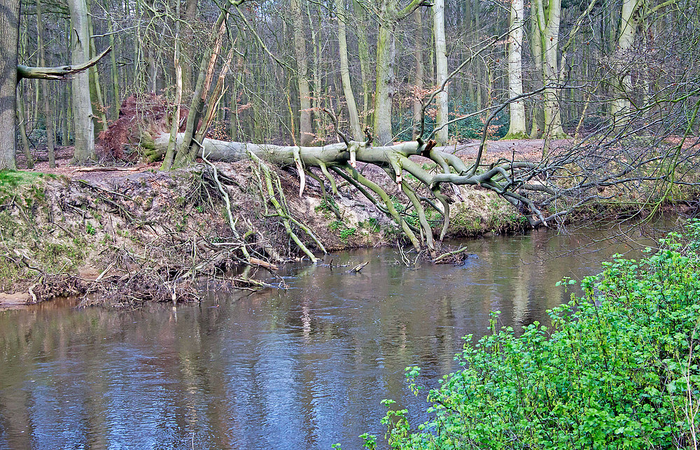 Die Kräfte der Natur II