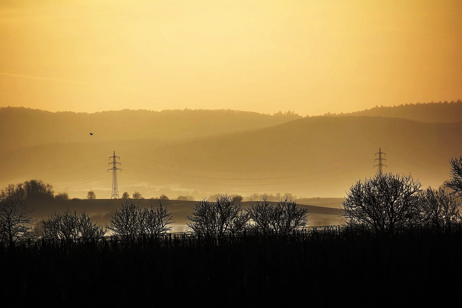 Die Krähe und der Sonnenuntergang