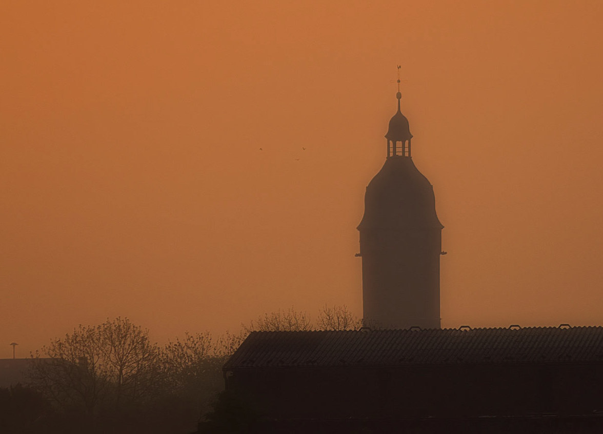 Die Krähen und der Turm