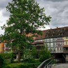 Die Krämerbrücke in Erfurt