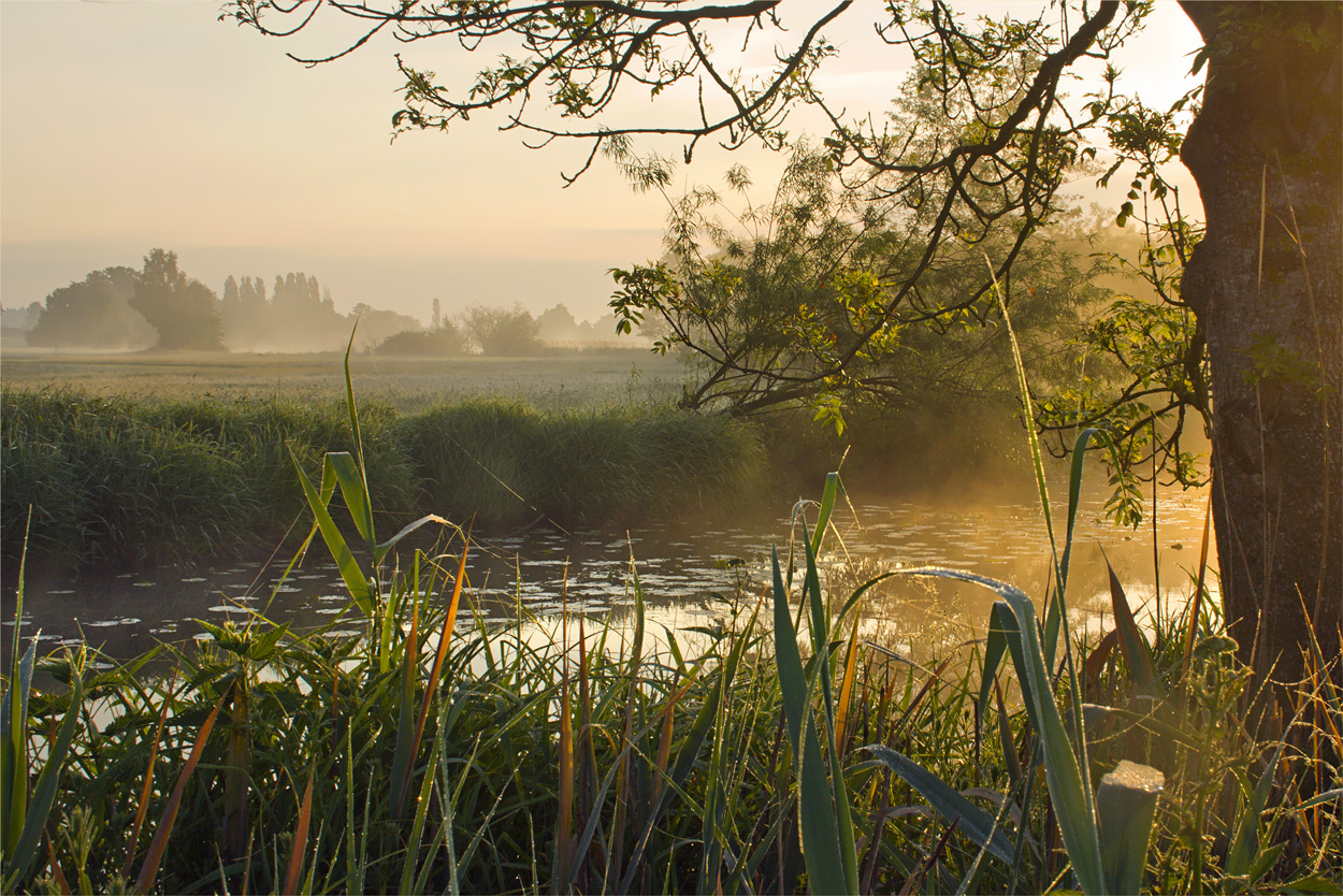 Die Kraft der Morgensonne...