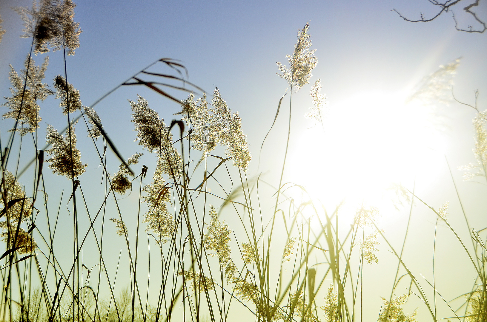 Die Kraft der Sonne