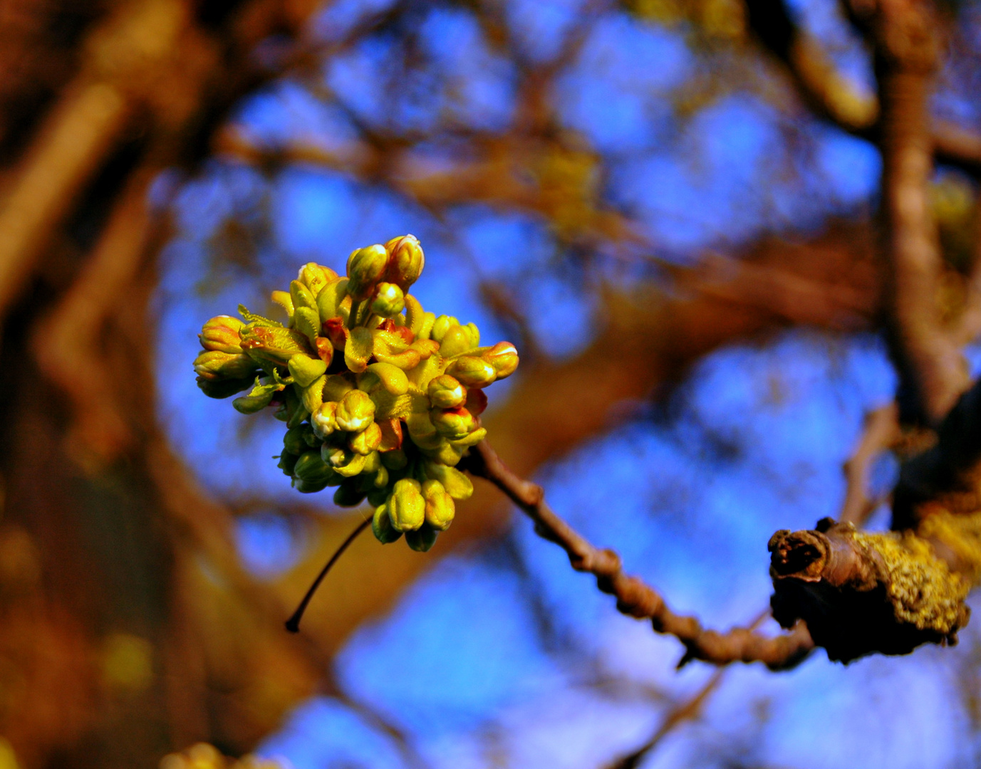 Die Kraft der Sonne