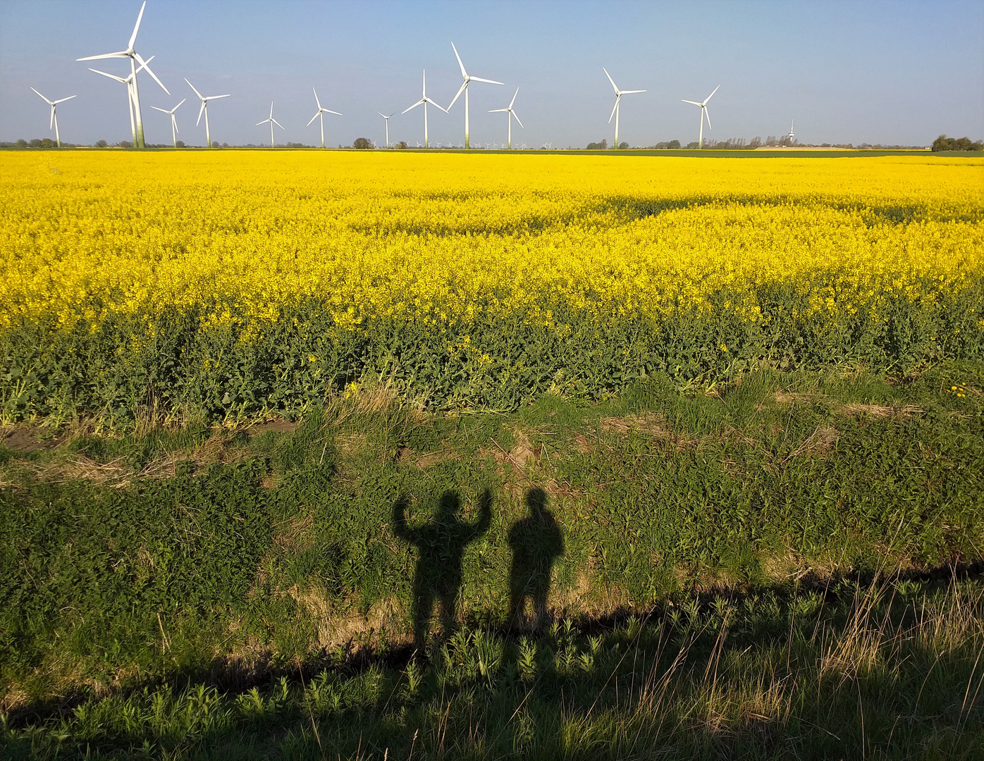 Die Kraft der Sonne ... die Stärke des Windes