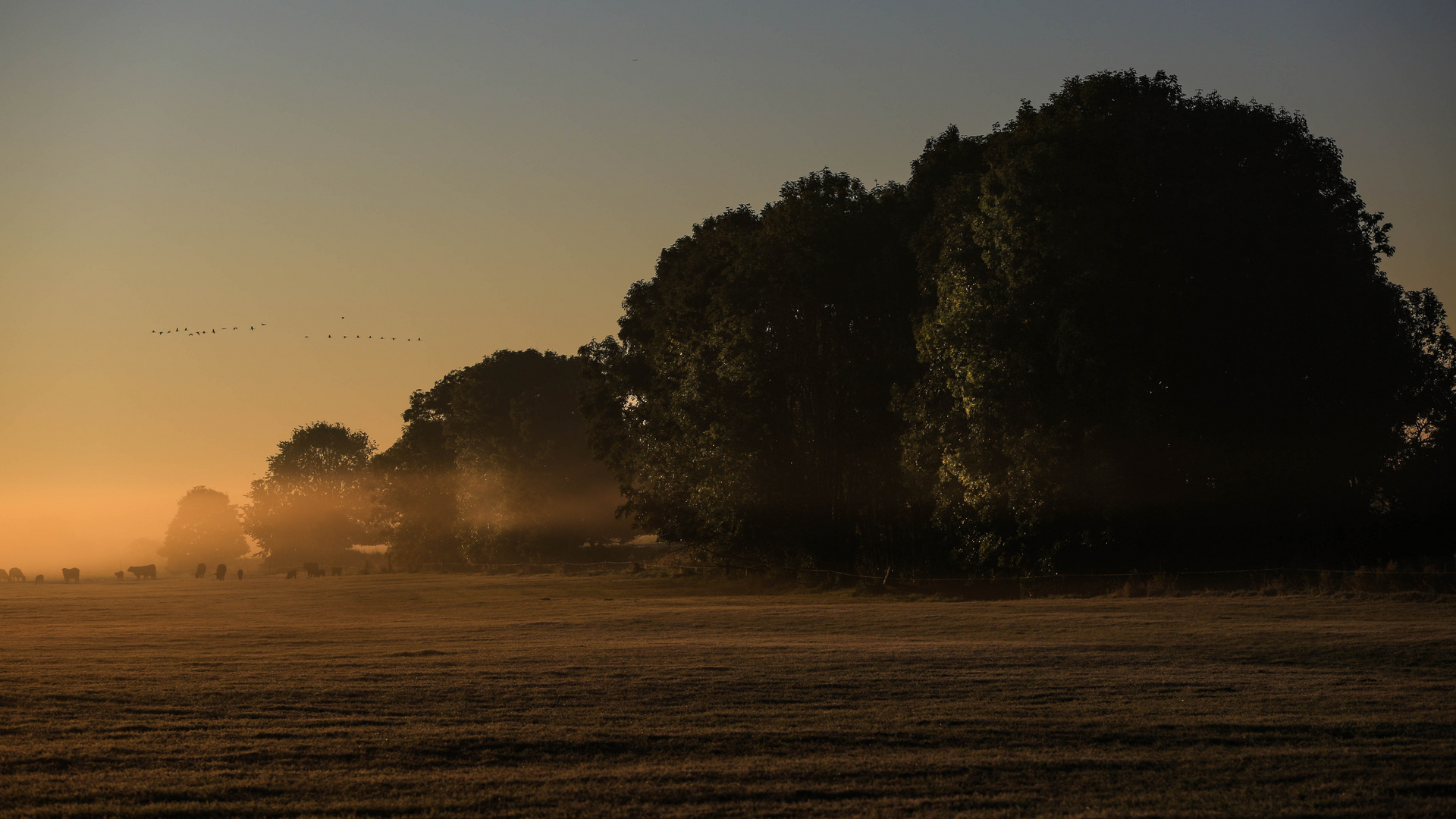 Die Kraft der Sonne