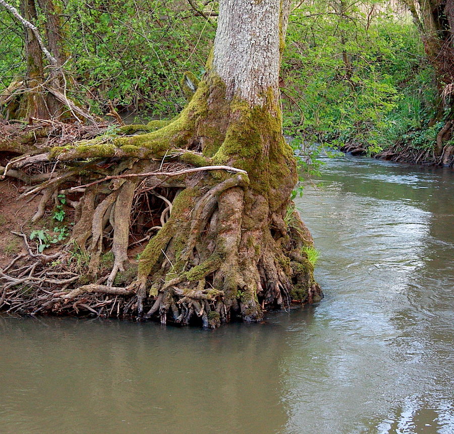 Die Kraft des Wassers