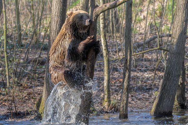 Die Kraft des Wassers