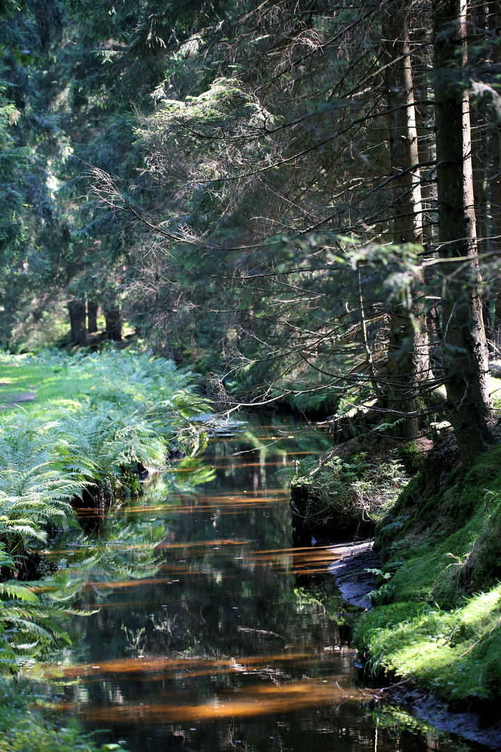 Die Kraft Des Wassers Die Kraft Des Wassers