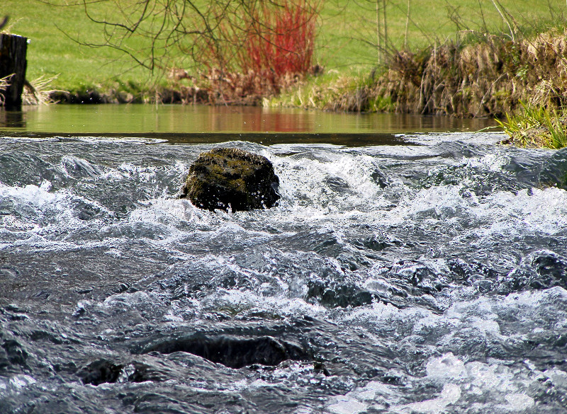 Die Kraft des Wassers