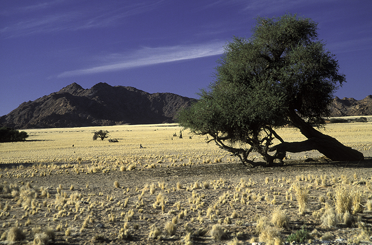 die Kraft des Windes, Namibia