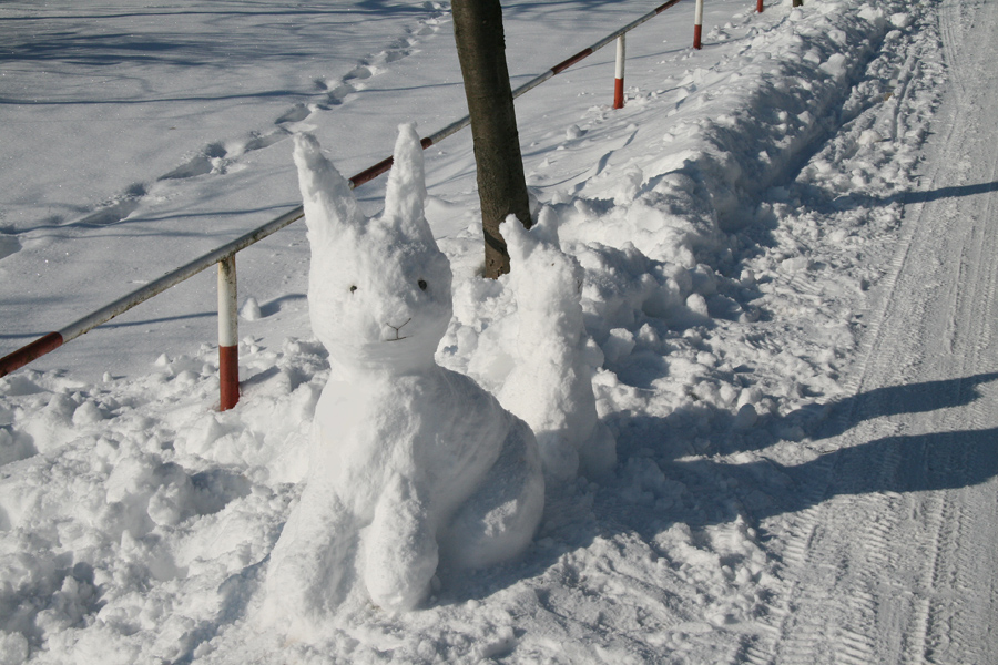 Die Kreativitäten des Winters