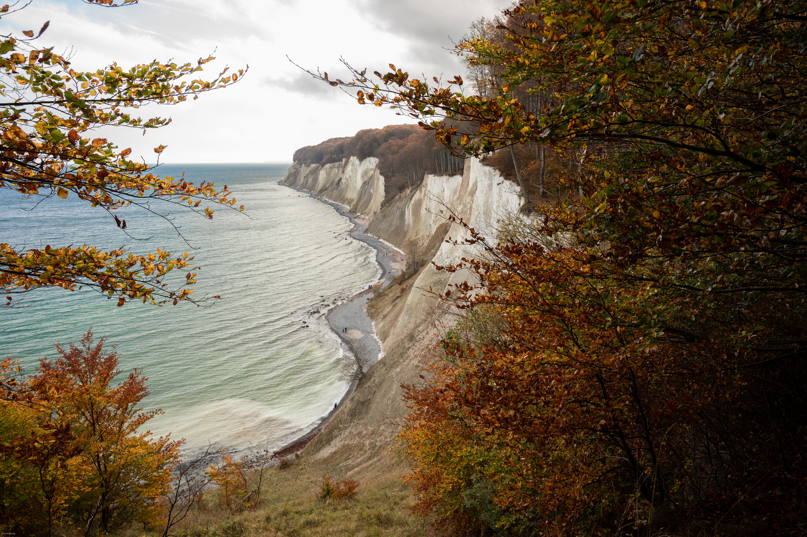 Die Kreidefelsen auf Rügen...