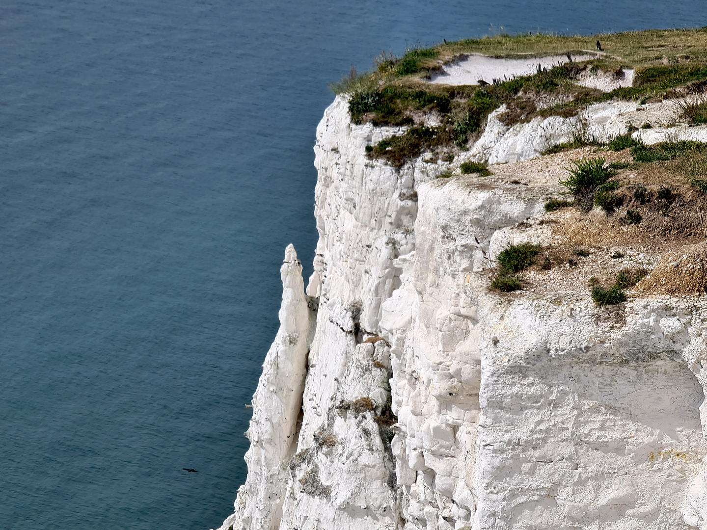 Die Kreidefelsen von Dover