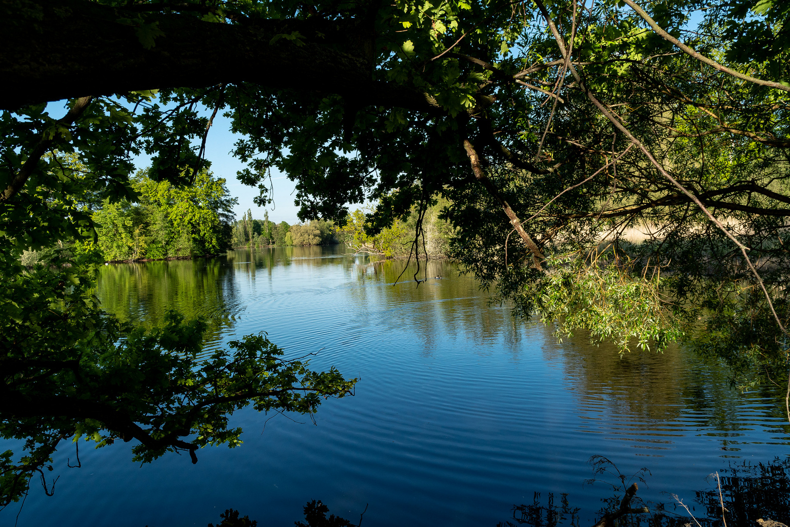 Die Kreuzteiche, nördlich von Riddaghausen in Braunschweig. (11)