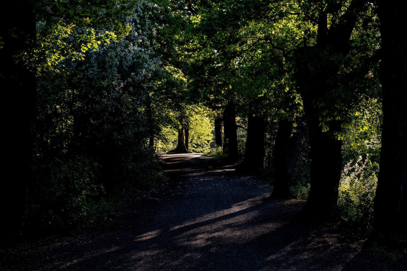 Die Kreuzteiche, nördlich von Riddaghausen in Braunschweig.. (12)