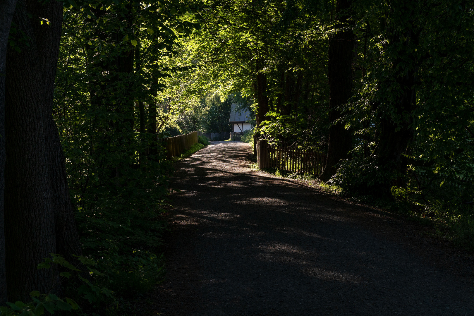 Die Kreuzteiche, nördlich von Riddaghausen in Braunschweig. (14)