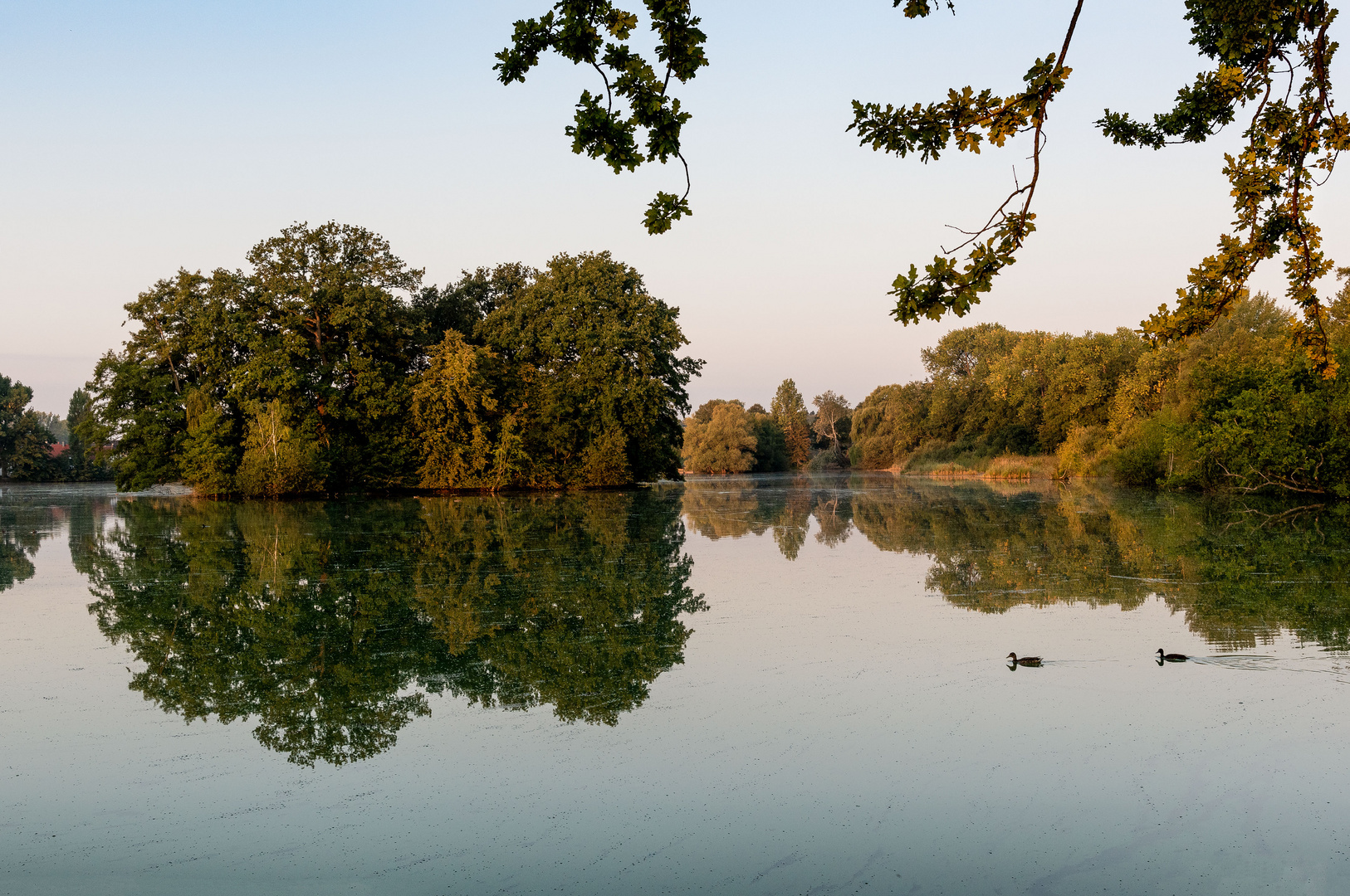 Die Kreuzteiche nördlich von Riddagshausen in Braunschweig (4)