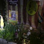 Die Krone der Schöpfung