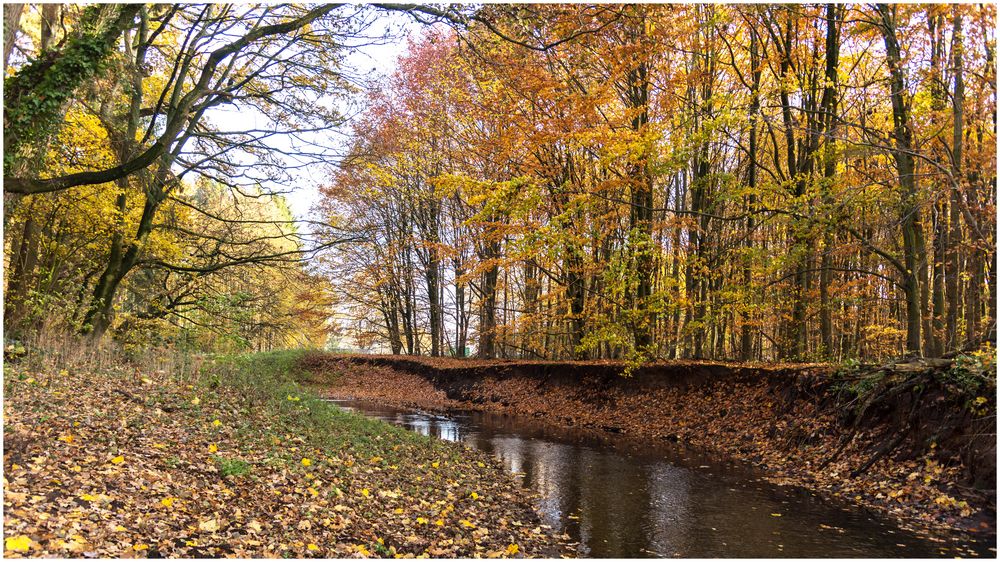 die Krückau bei Barmstedt