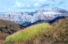 Die Kühe sind schon wieder im Tal